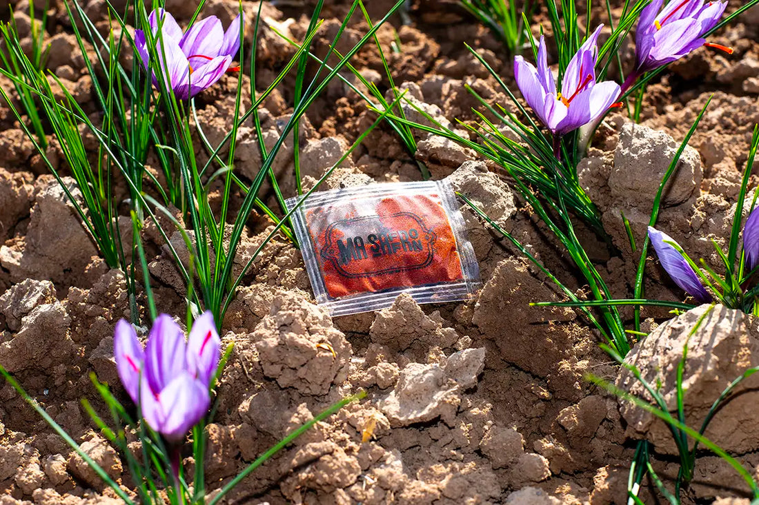 24 Benefícios do Açafrão (Zafferano): De Emagrecimento e Gordura no Fígado a Combate à Depressão + Tipos e Valor Nutricional