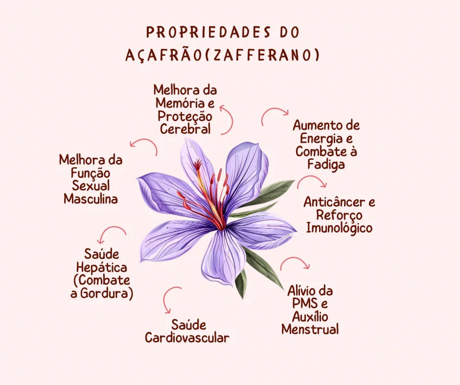 Infográfico detalhado listando os principais benefícios do Açafrão Iraniano (Crocus sativus) da Pregiato para a saúde. Ilustração das propriedades medicinais do 'Ouro Vermelho', incluindo seu poder antioxidante natural, melhora do humor, memória e bem-estar. O motivo ideal para incluir o açafrão puro na sua dieta diária.
