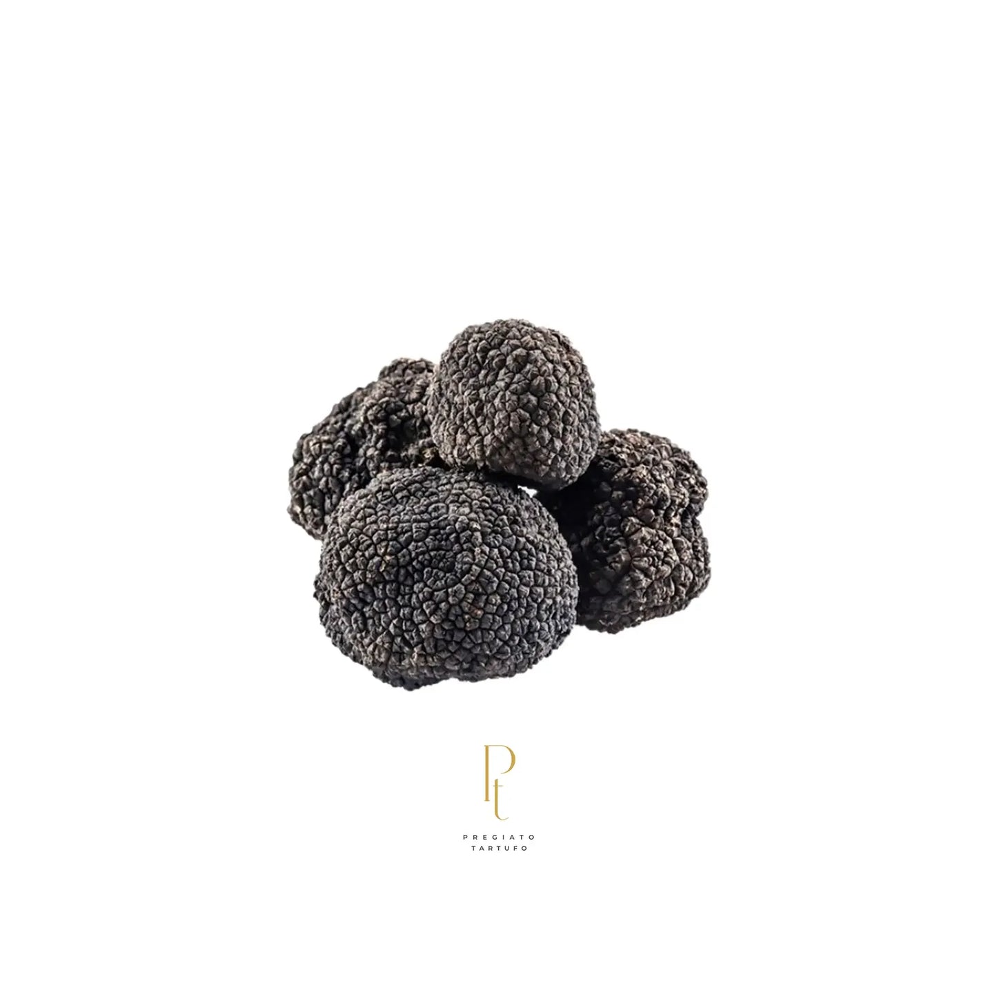 Grupo de trufas negras frescas (Tuber melanosporum) inteiras e limpas sobre fundo branco, exibindo textura detalhada e alta qualidade. Abaixo, o logotipo dourado da marca Pregiato Tartufo. Produto gourmet exclusivo disponível para entrega em todo o Brasil, ideal para chefs e alta culinária.