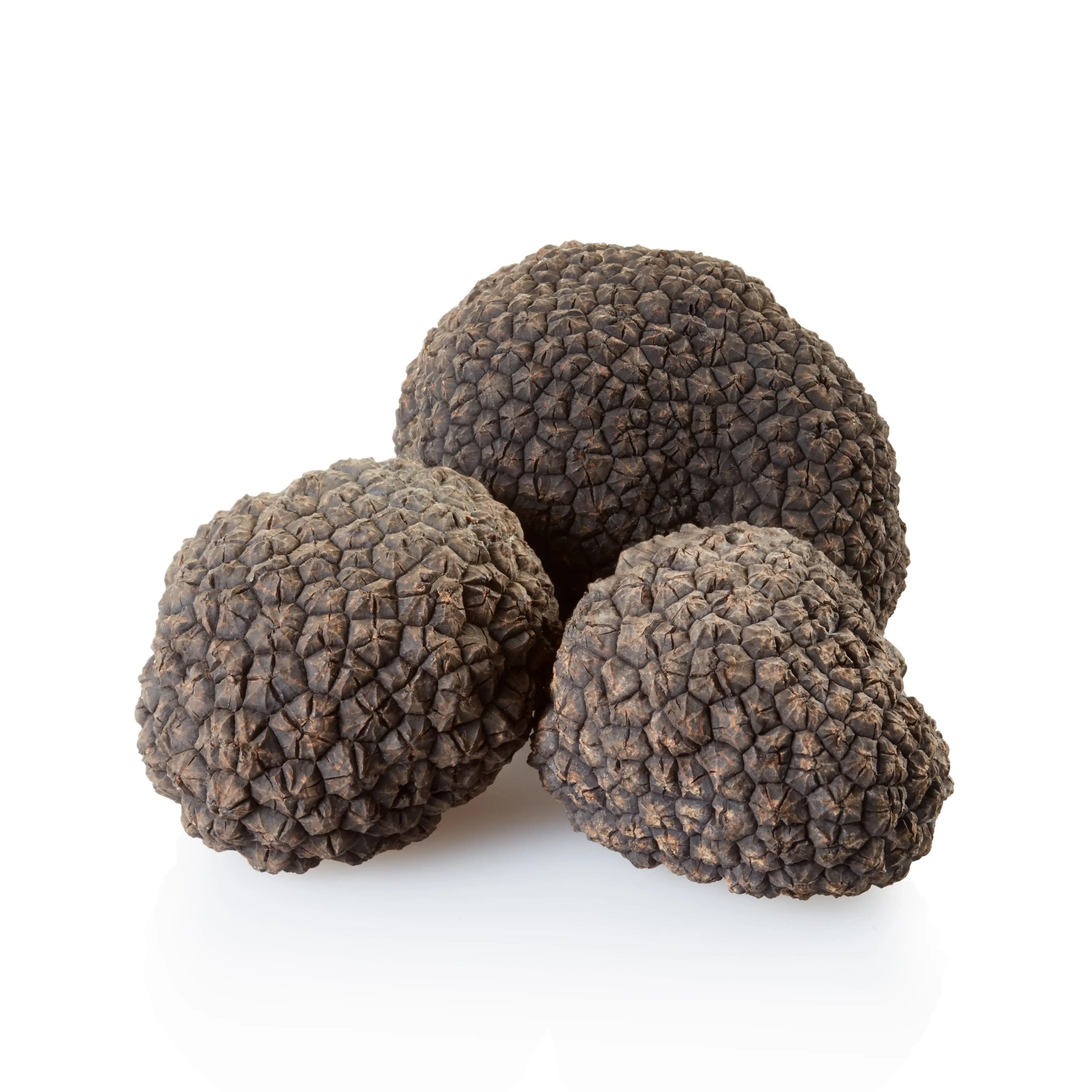 Descubra os deliciosos trufas importadas da Itália pela Pregiato Tartufo, sua empresa de confiança em trufas por todo o Brasil. Experimente o sabor autêntico com a melhor qualidade!