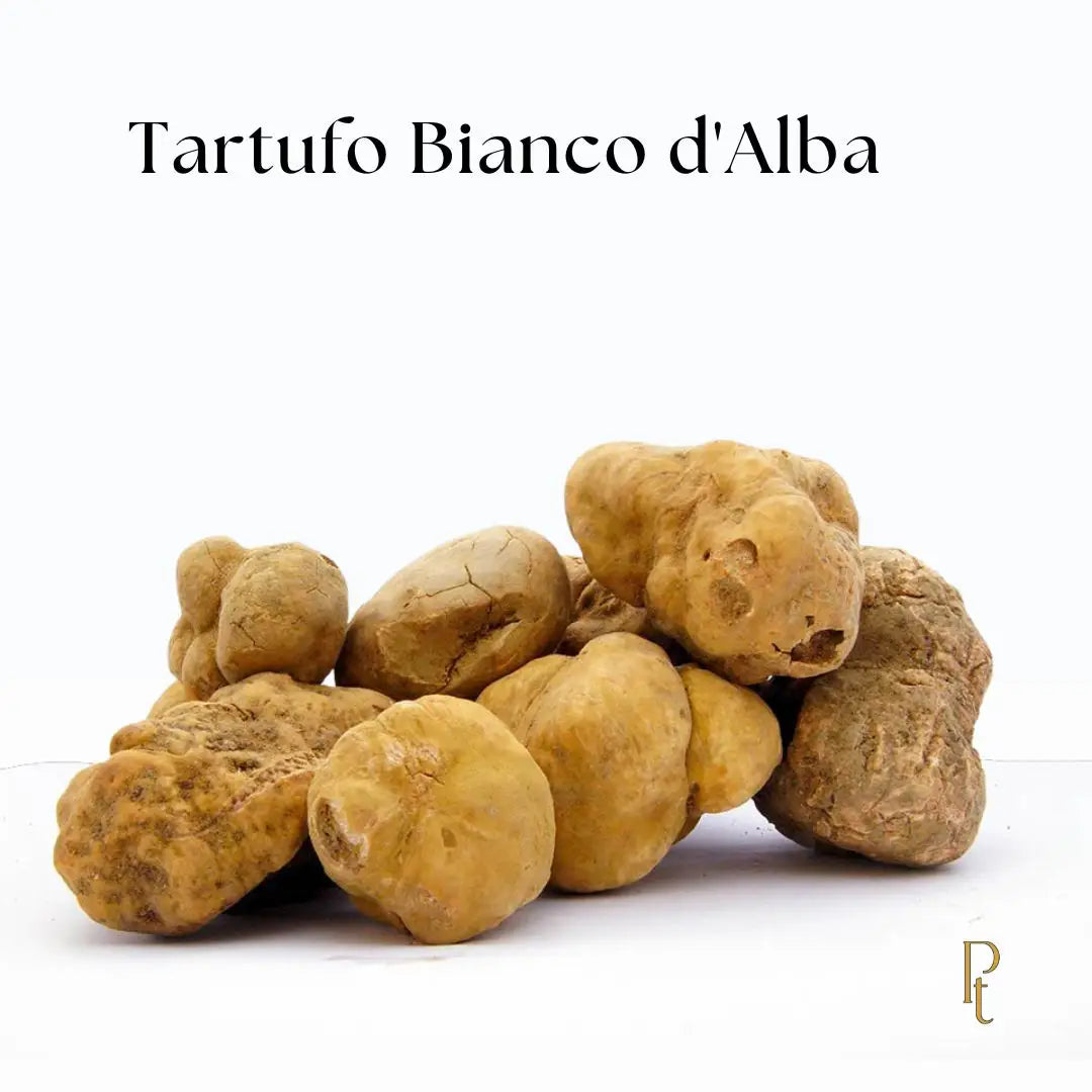 Detalhe da textura e cor da trufa branca italiana, ingrediente premium para chefs e restaurantes.