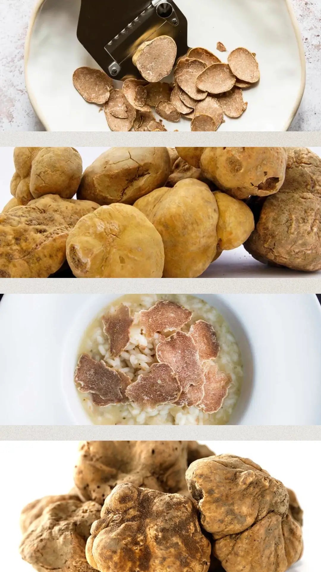 Trufa branca fresca de temporada, com perfume inconfundível que transforma pratos em experiências únicas.