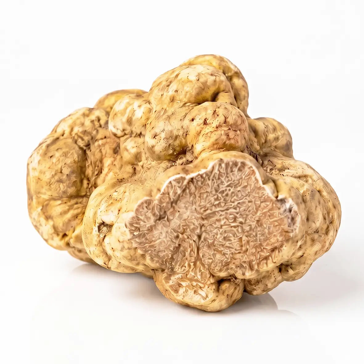 A fresh white truffle (Tuber magnatum) with a cut section revealing its intricate marbled interior, isolated on a white background with a subtle reflection.
Uma trufa branca fresca (Tuber magnatum) com um corte revelando seu interior marmorizado detalhado, isolada sobre um fundo branco com leve reflexo.