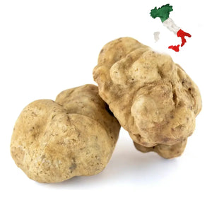 Trufa Branca Fresca Pré-venda