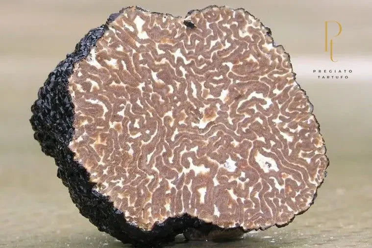 Trufa negra de outono (Tuber Uncinatum) inteira e fatiada, revelando seu interior. Ao fundo, uma ilustração do mapa da Itália, destacando a origem importada do produto da Pregiato Tartufo.