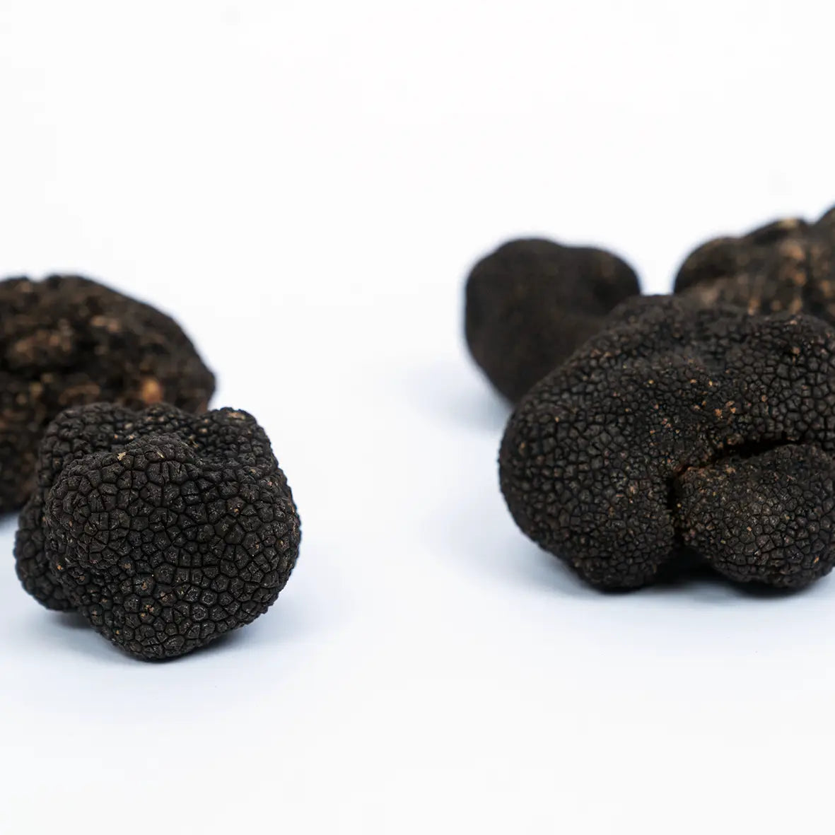 Pequenas trufas negras frescas e inteiras sobre fundo branco