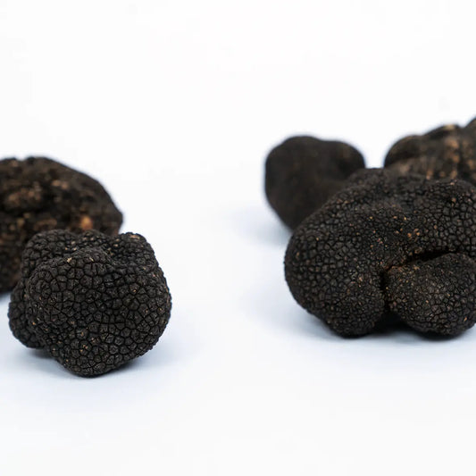 Pequenas trufas negras frescas e inteiras sobre fundo branco