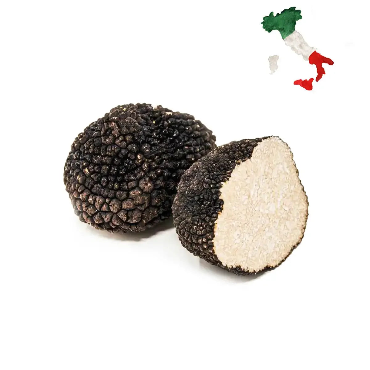 Trufa negra de verão (Tuber Aestivum) cortada ao meio, exibindo o interior claro e bege típico da espécie. Ao fundo, mapa da Itália em aquarela. Produto importado ideal para quem busca o frescor do 'Scorzone' italiano no Brasil.