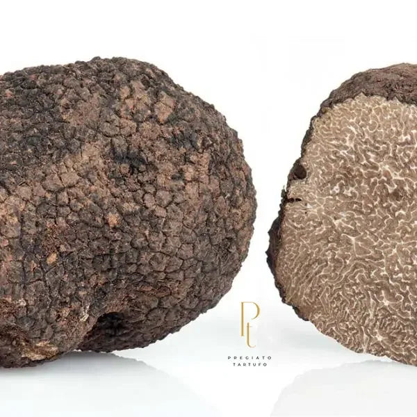 Trufa de outono importada com perfume marcante e qualidade premium para culinária brasileira