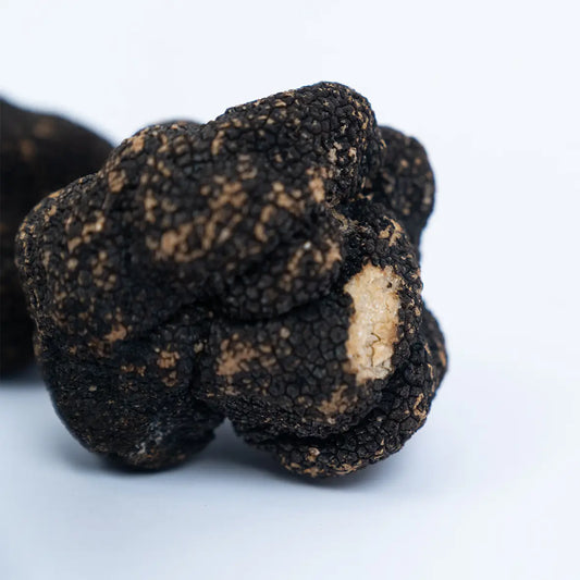 Grupo de trufas negras frescas e rústicas prontas para consumo pregiato tartufo brasil