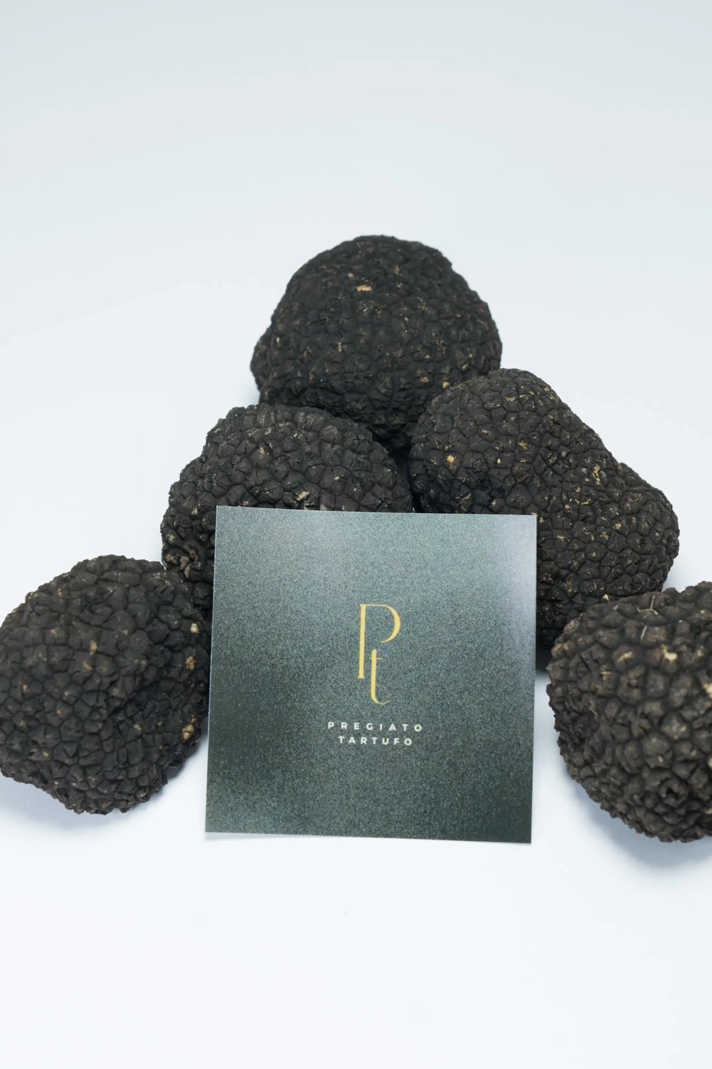 Pilha de trufas negras de verão frescas com o cartão da marca Pregiato Tartufo. Fungos com perídio (casca) verrucoso e aroma delicado, selecionados para a alta gastronomia brasileira. Disponível para entrega imediata.