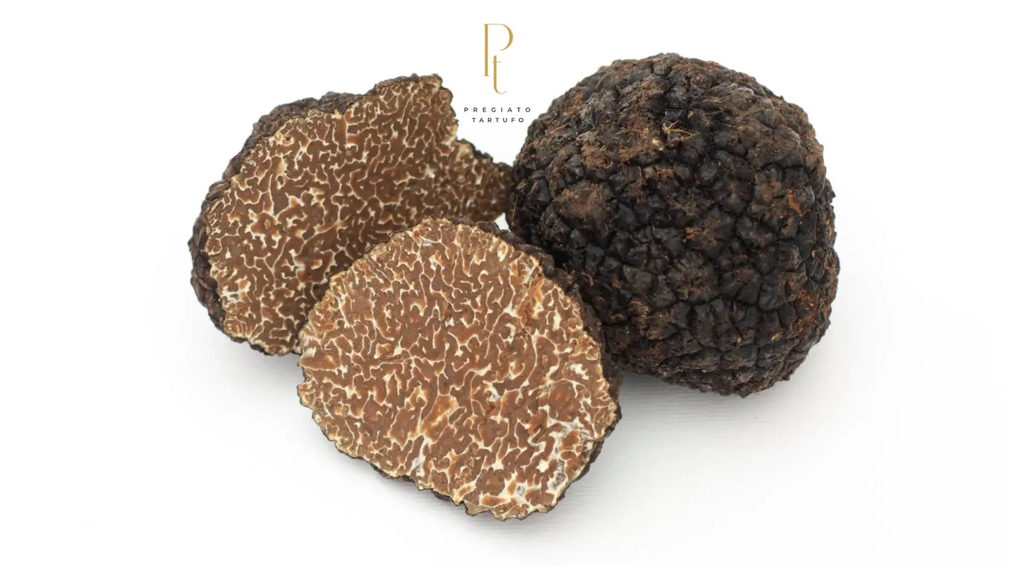 Conjunto de trufas negras de outono (Tuber Uncinatum) frescas, limpas e empilhadas sobre fundo branco. Ideal para chefs e venda online com entrega rápida em todo o Brasil pela Pregiato Tartufo.